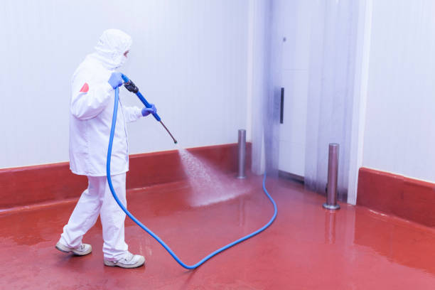 Best Parking Lot Cleaning in South Hutchinson, KS