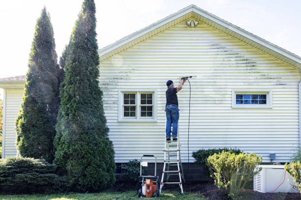 Best Roof Cleaning and Mildew Removal in South Hutchinson, KS